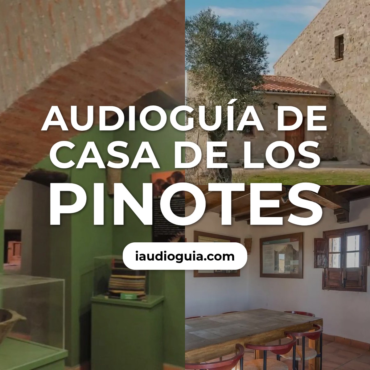 Audioguía de Casa Pinotes