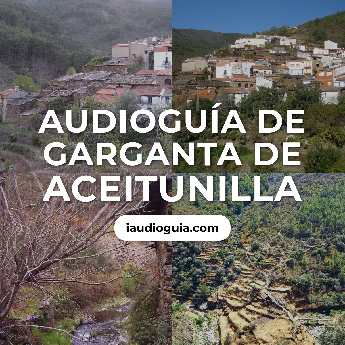 Audioguía de Garganta Aceitunilla