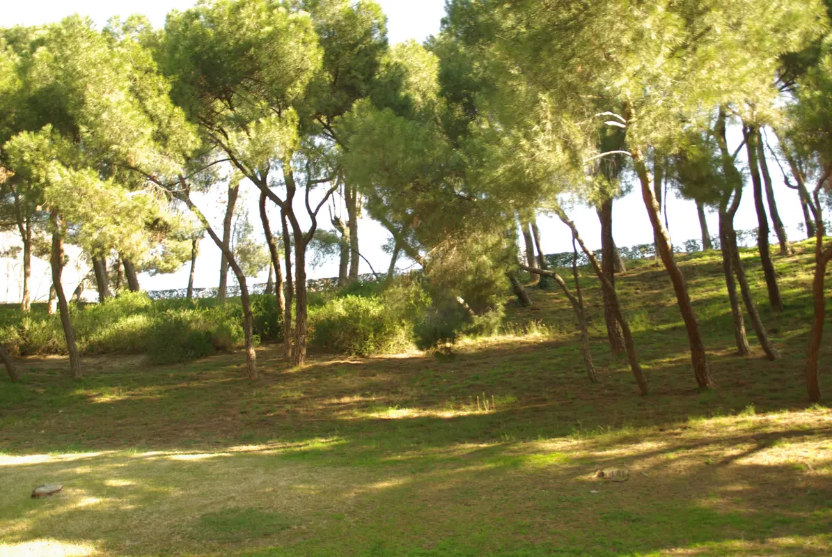 Audioguía de Comunidad de Madrid