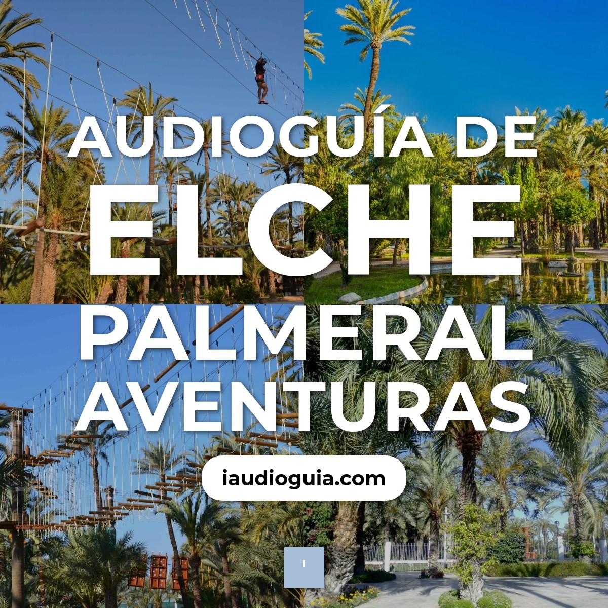 Audioguía de Elche Palmeral Aventuras