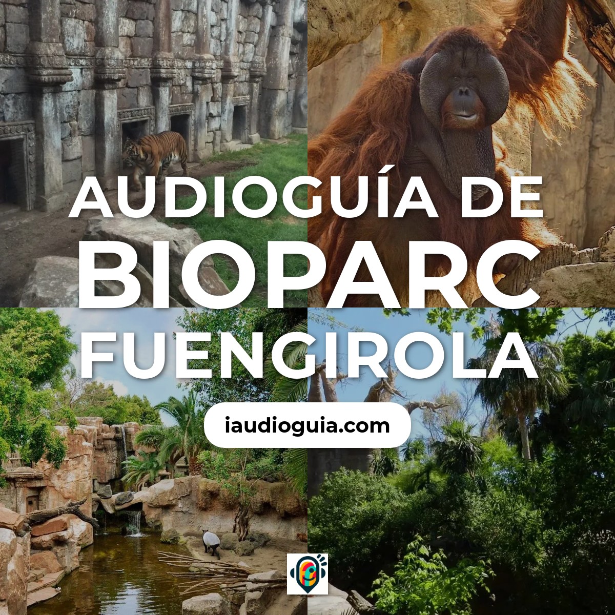 Audioguía de Bioparc Fuengirola