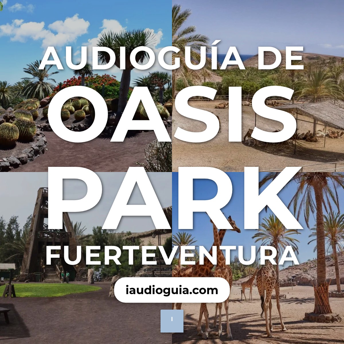 Audioguía de Oasis Park Fuerteventura