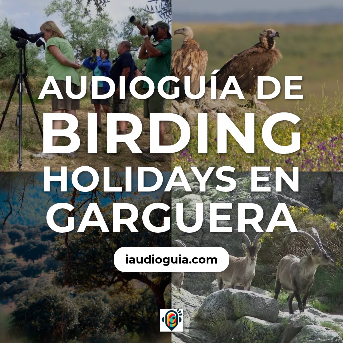 Audioguía de Birding Holidays