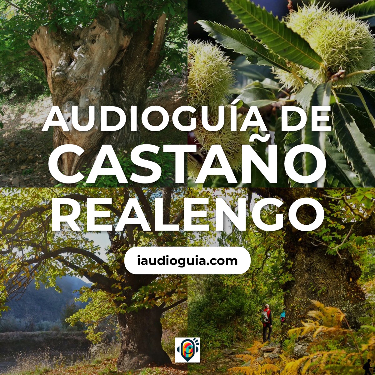 Audioguía de Castano Realengos