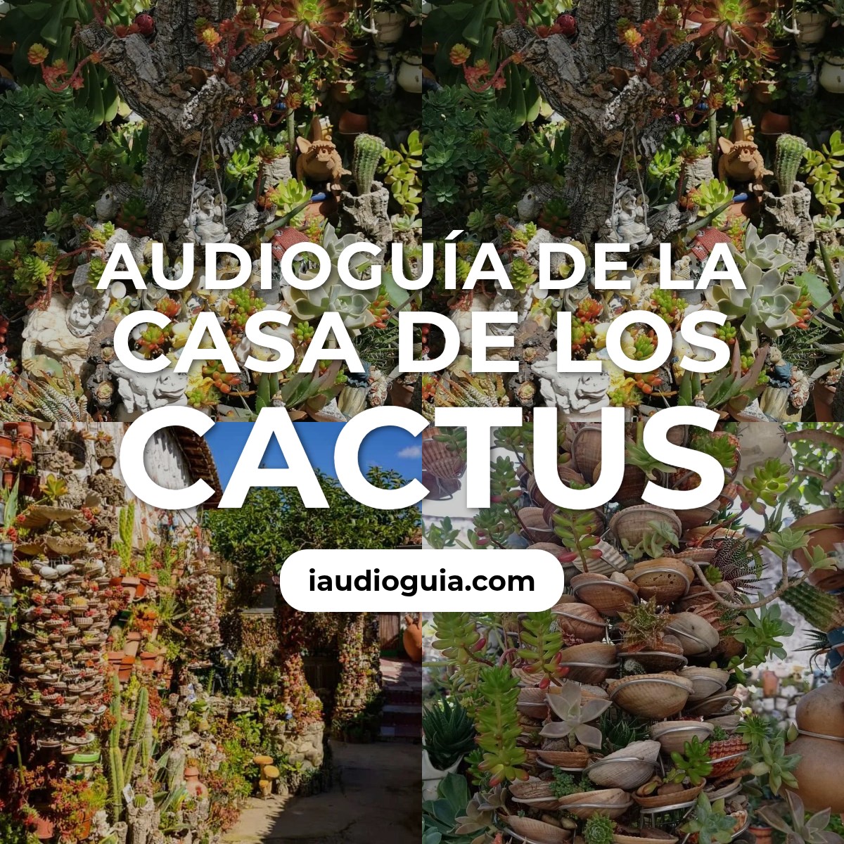 Audioguía de Casa Cactus