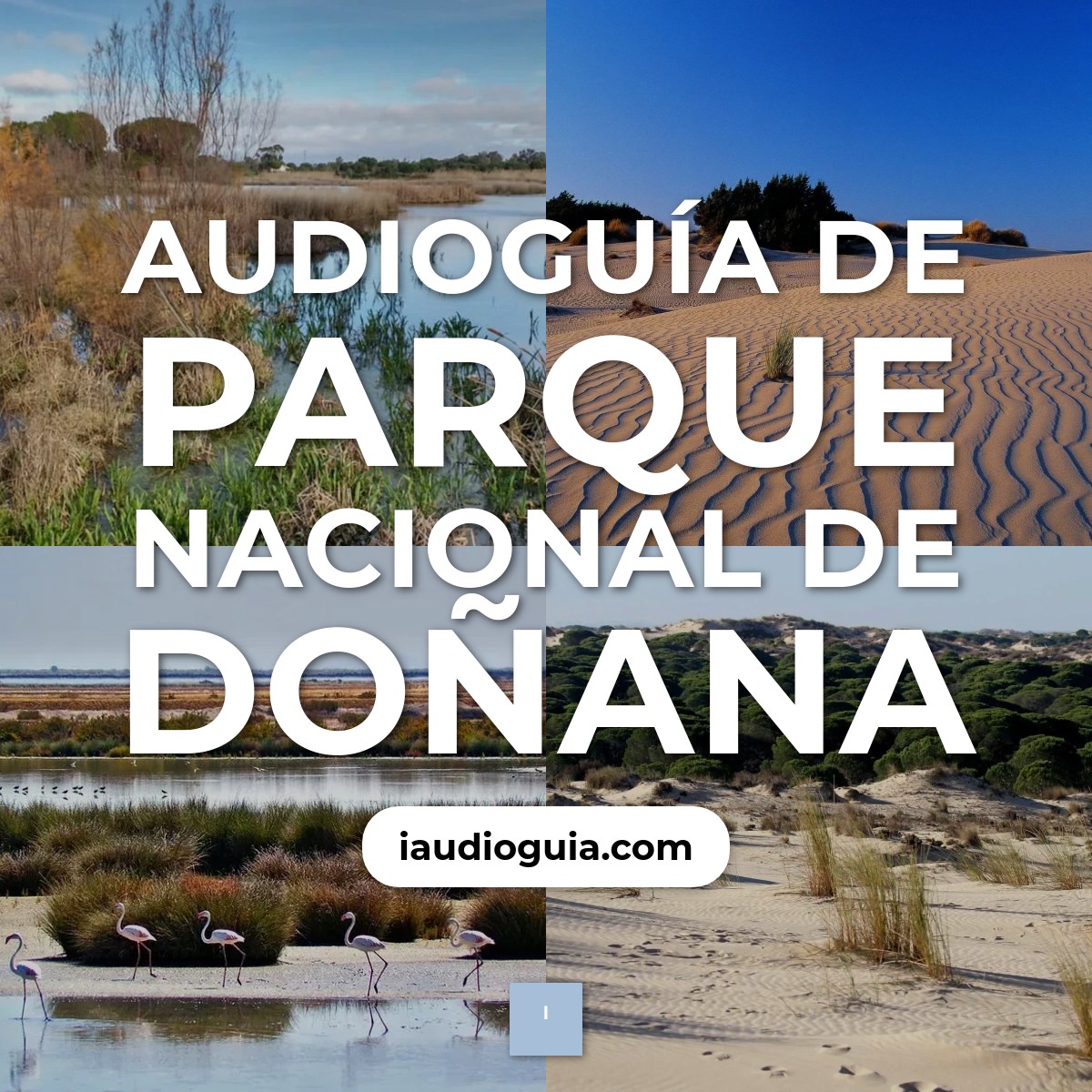 Audioguía de Parque Nacional Donana