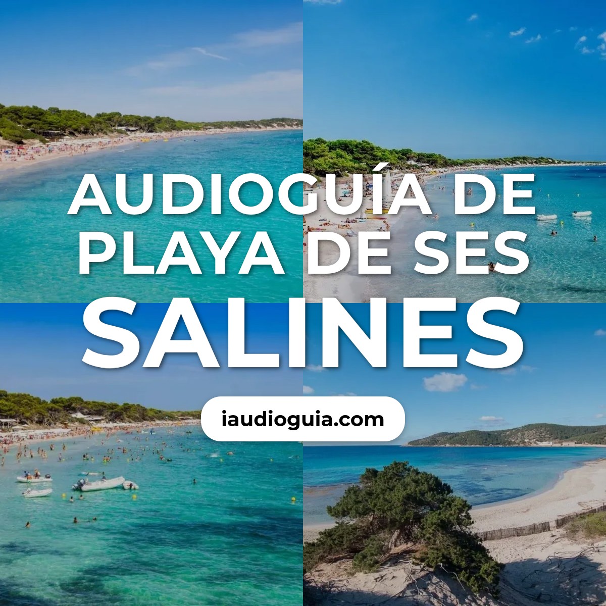 Audioguía de Playa de Ses Salines