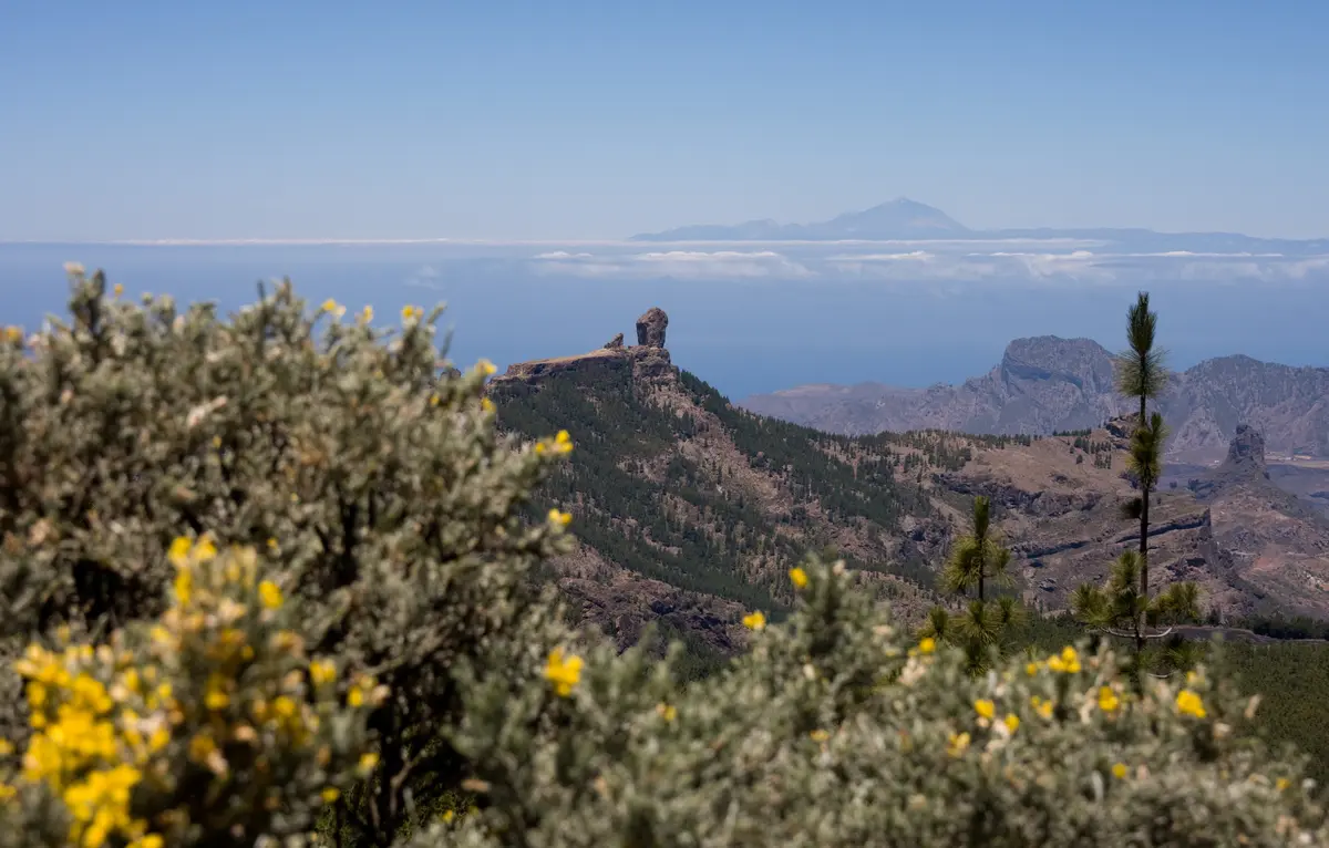 Audioguía de Mirador Del Pico De Los Pozos De Las Nieves