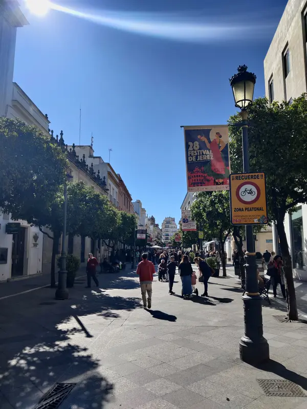 Audioguía de Flamenco
