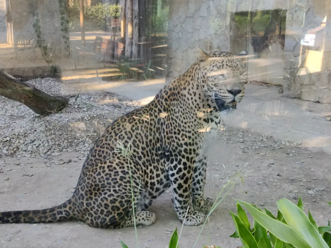 Audioguía de Zoo Botanico Jerez