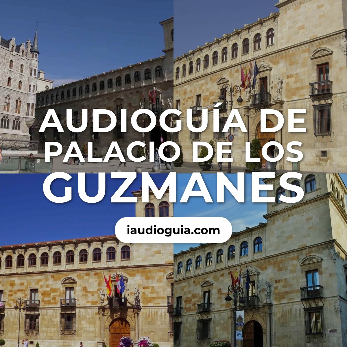 Audioguía de Palacio Guzmanes