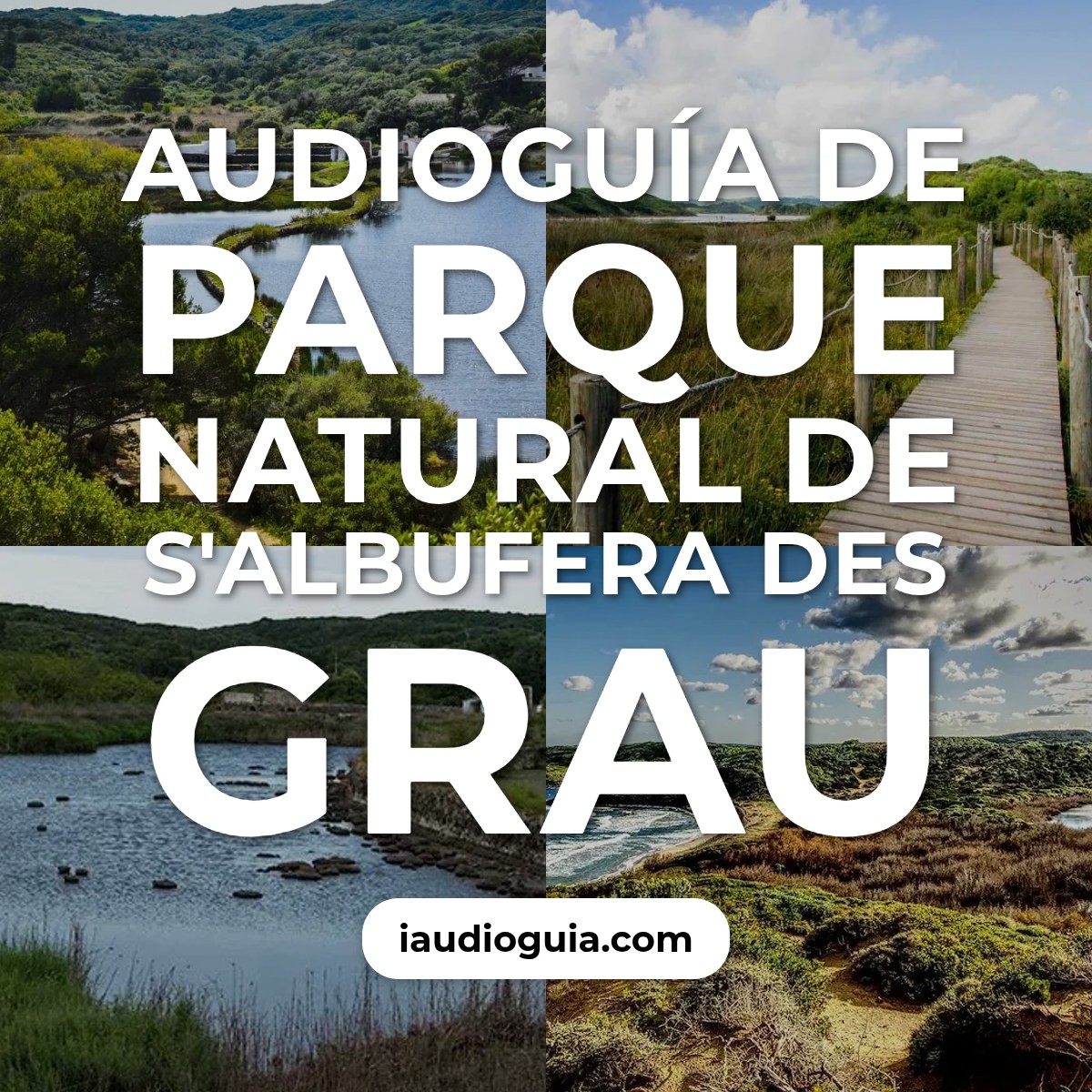 Audioguía de Parque Natural S Albufera Des Grau