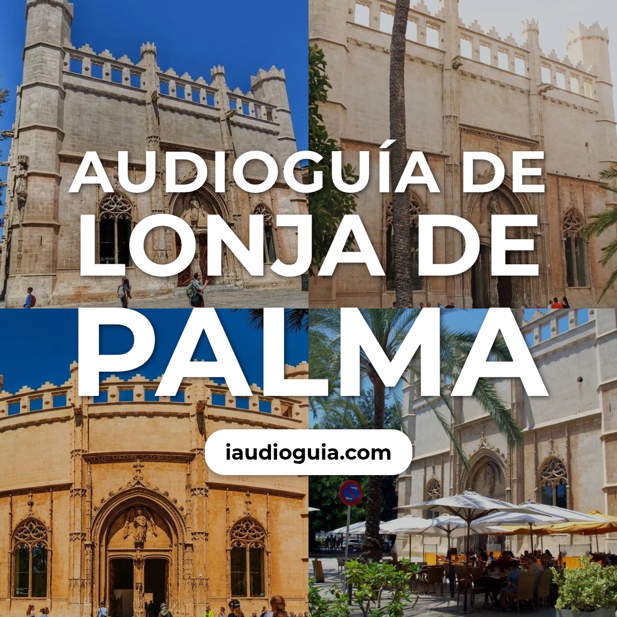Audioguía de Lonja Palma
