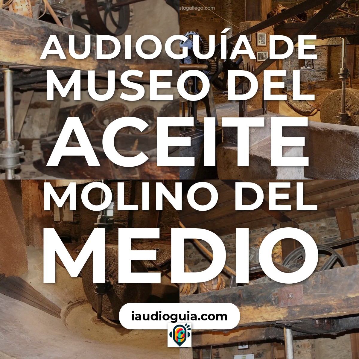 Audioguía de Museo Del Aceite Molino Del Medio