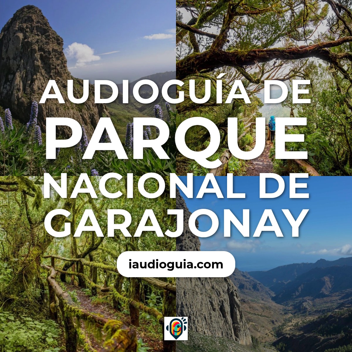 Audioguía de Parque Nacional Garajonay
