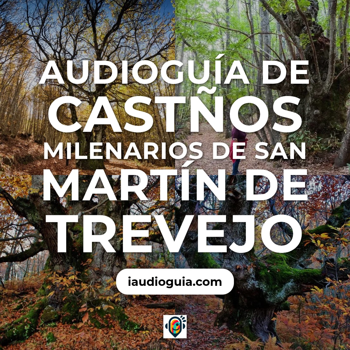 Audioguía de Castanos Milenarios San Martin Trevejo