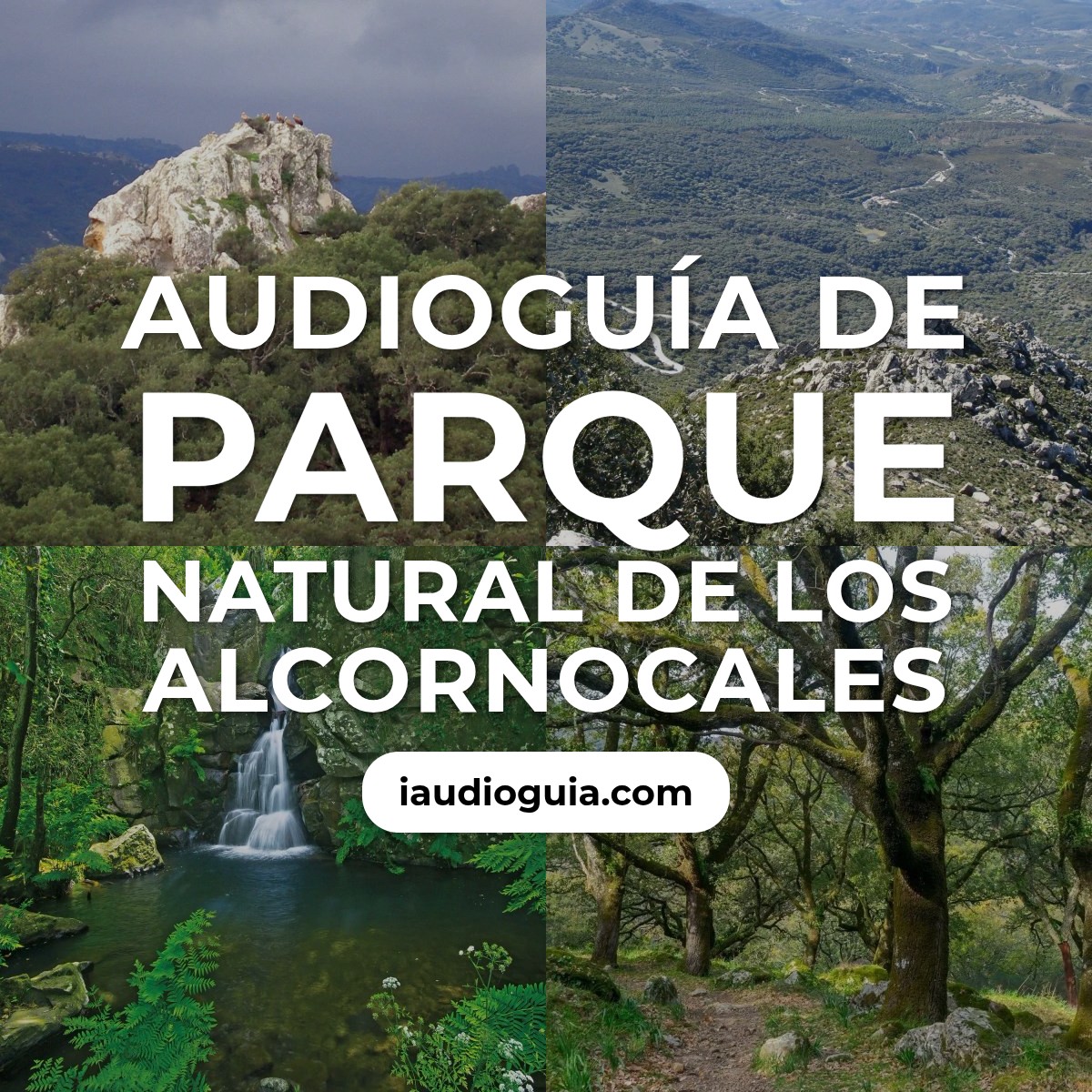 Audioguía de Parque Natural de Los Alcornocales