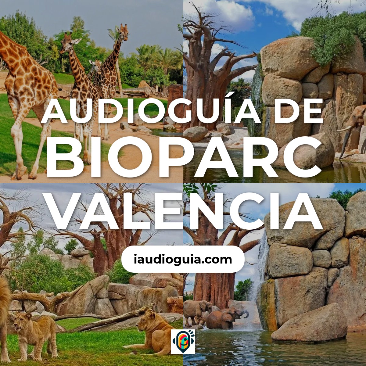 Audioguía de Bioparc Valencia