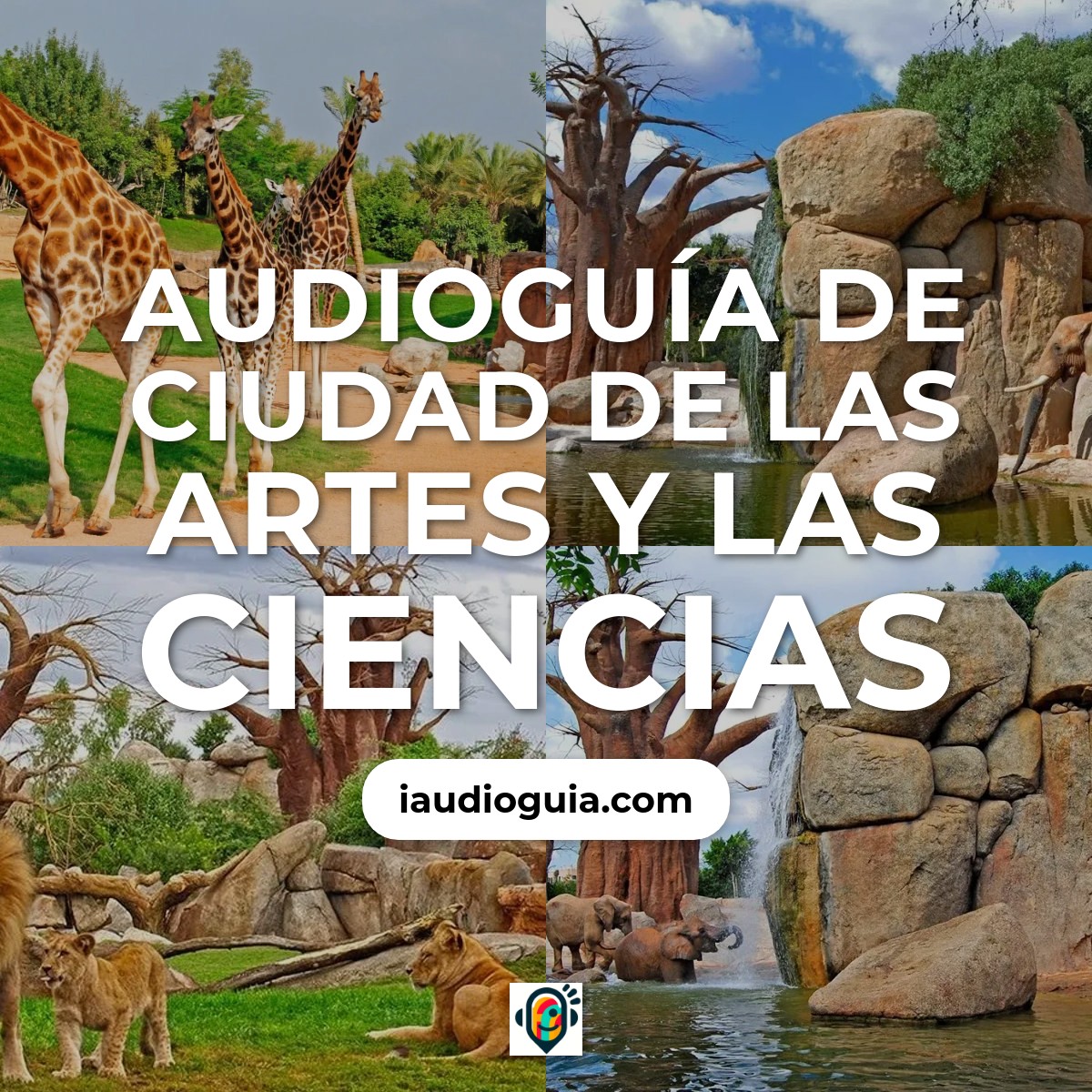 Audioguía de Ciudad de las Artes y las Ciencias