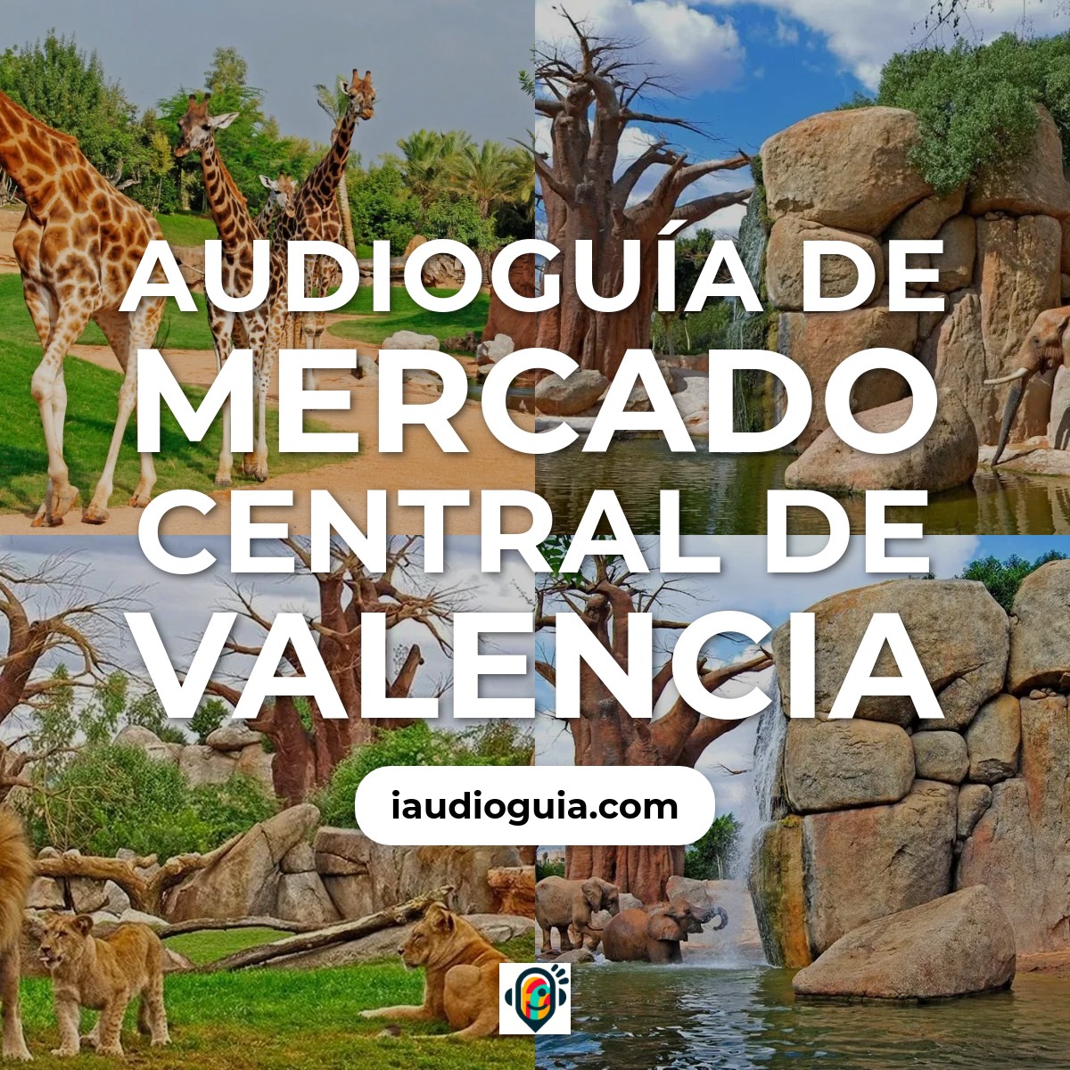 Mercado Central de Valencia