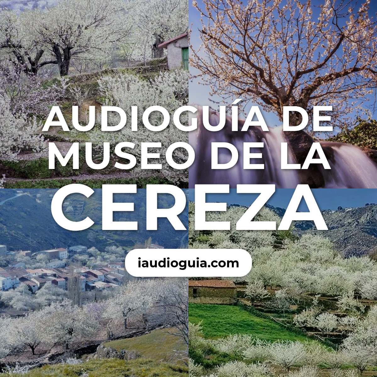 Audioguía de Museo de la Cereza