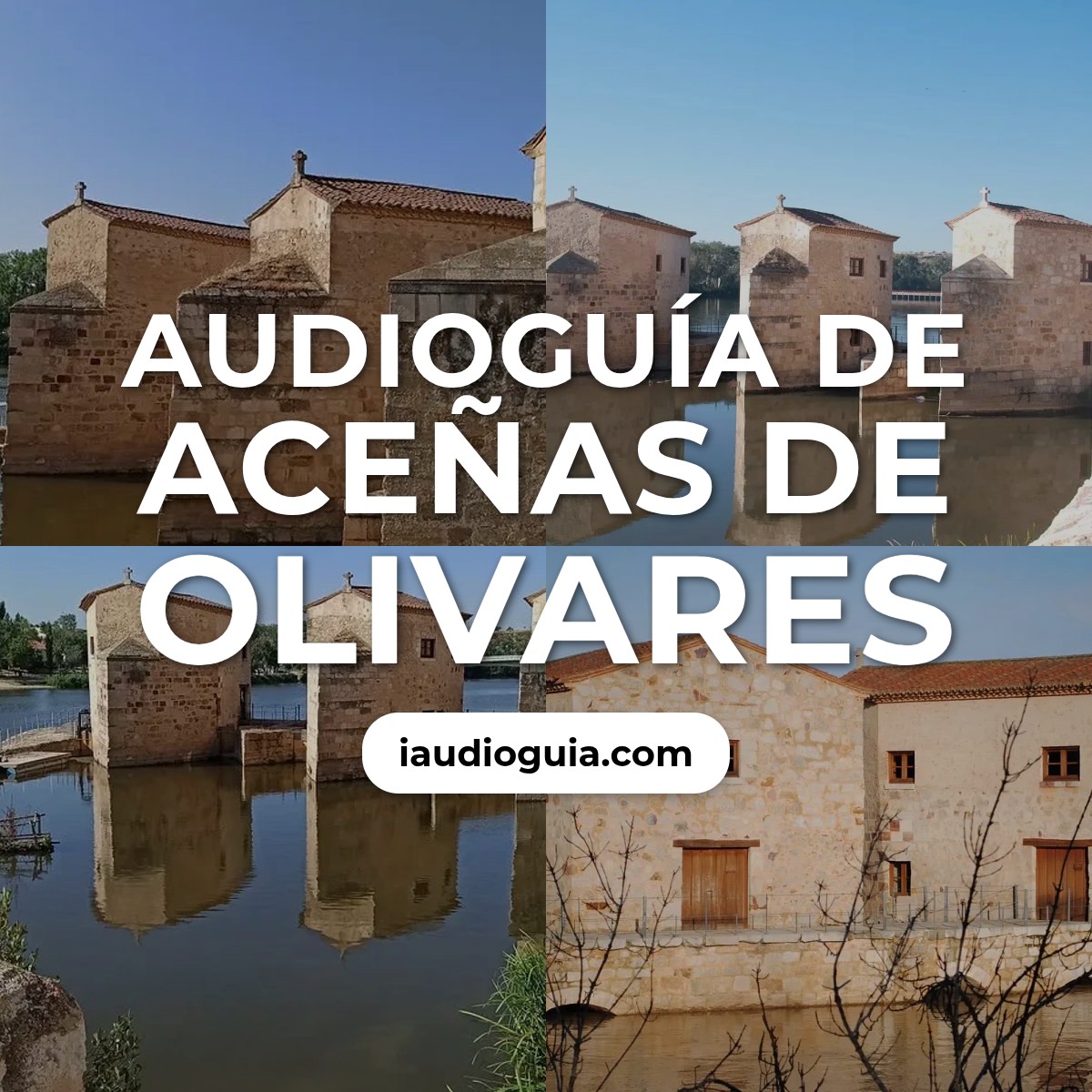 Audioguía de Acenas Olivares