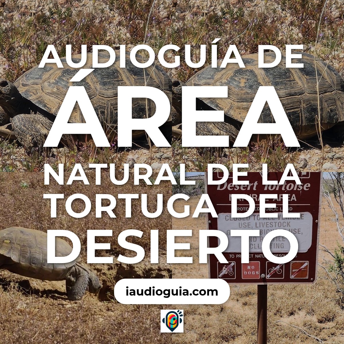 Audioguía de Desert Tortoise Natural Area Zona Cercana