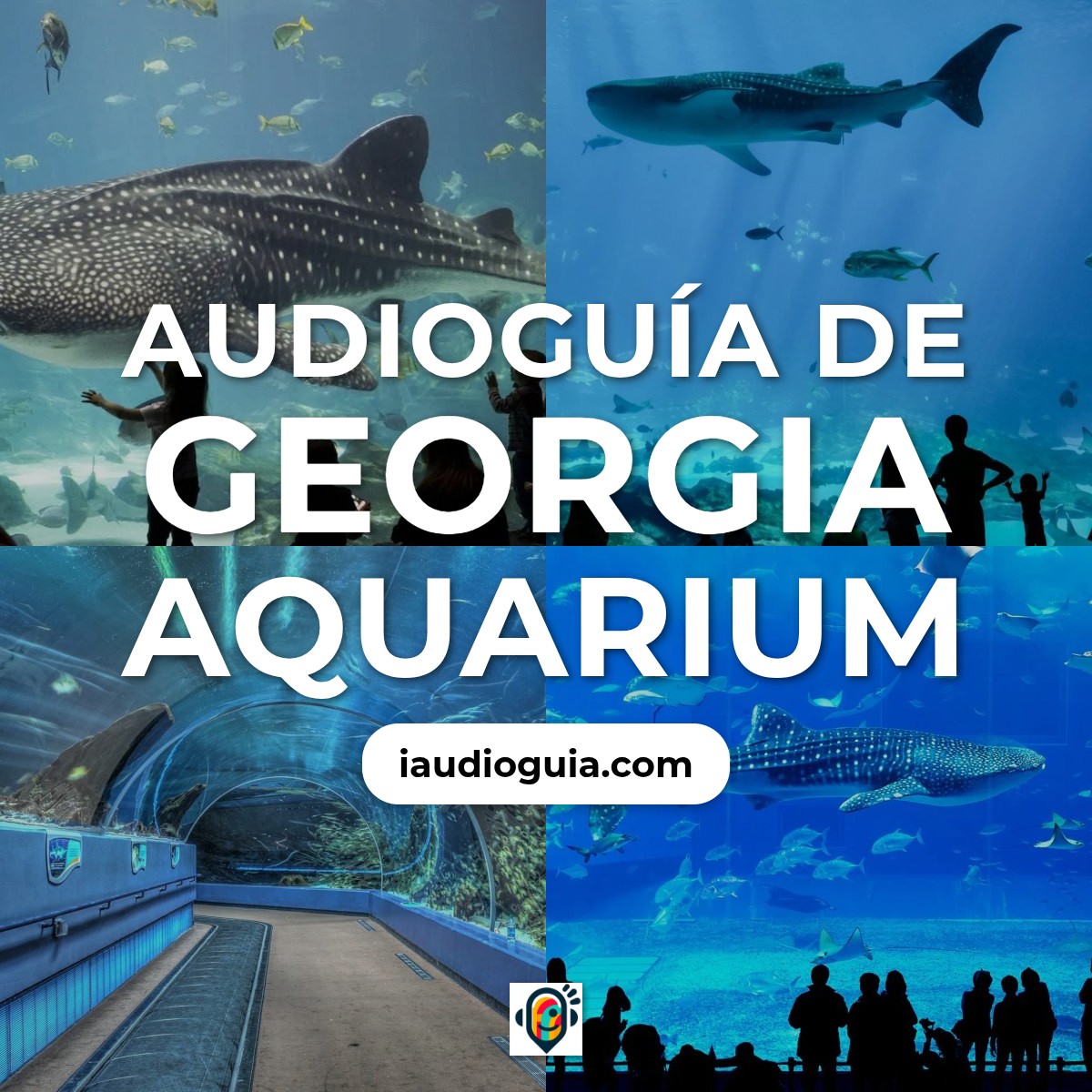 Audioguía de Georgia Aquarium