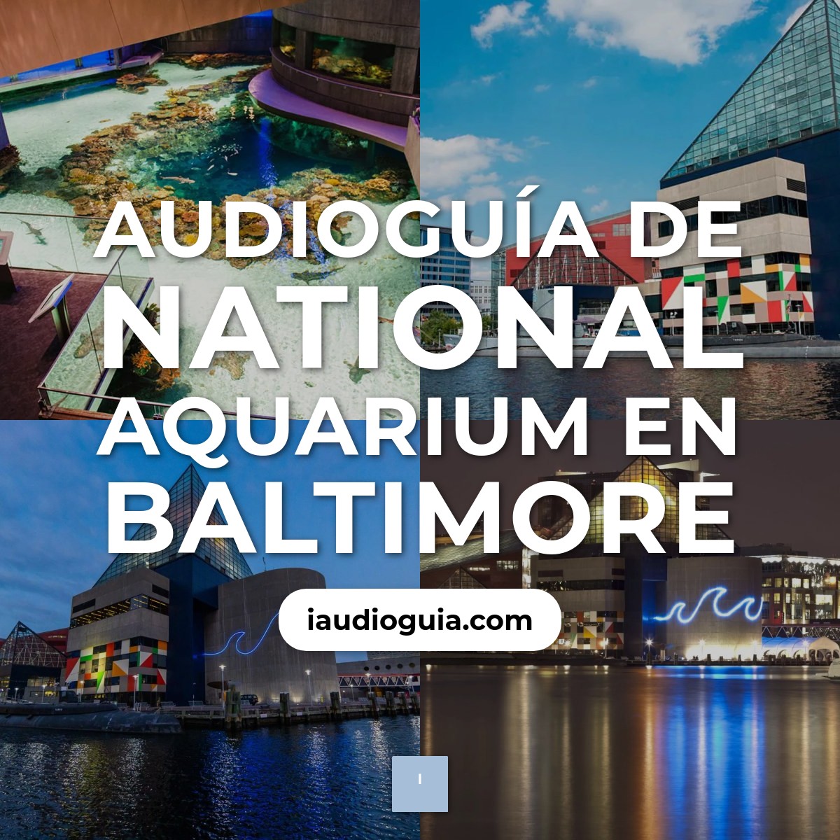 Audioguía de National Aquarium