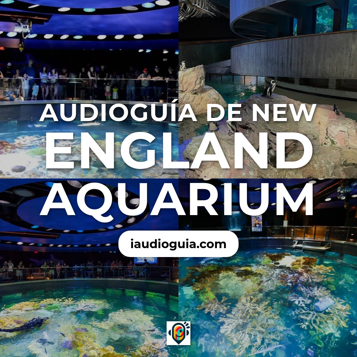 Audioguía de New England Aquarium