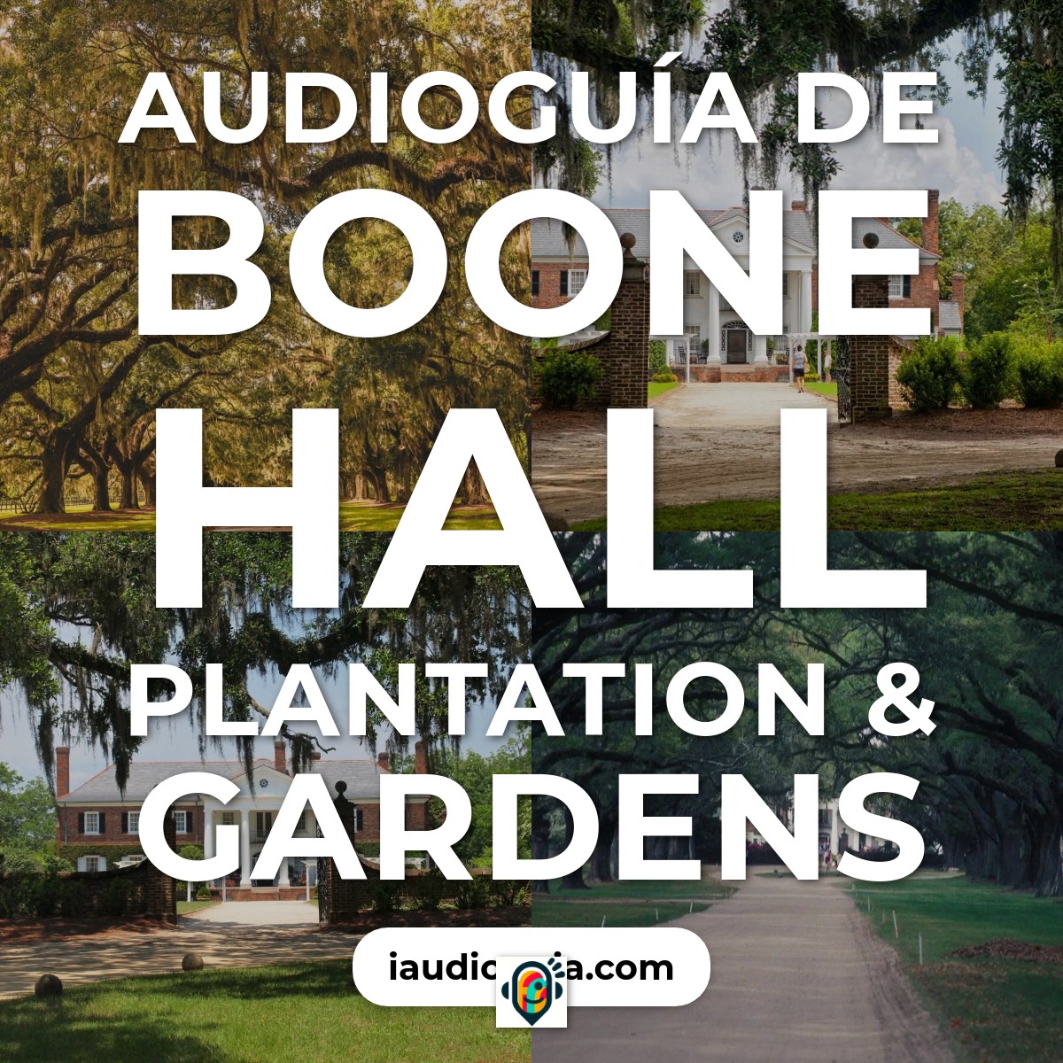 Audioguía de Boone Hall Plantation Gardens