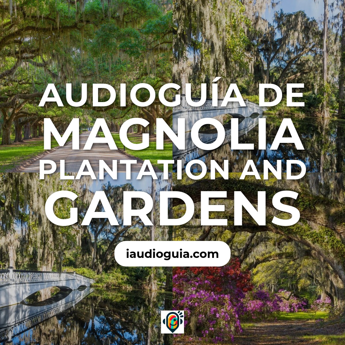 Audioguía de Magnolia Plantation And Gardens