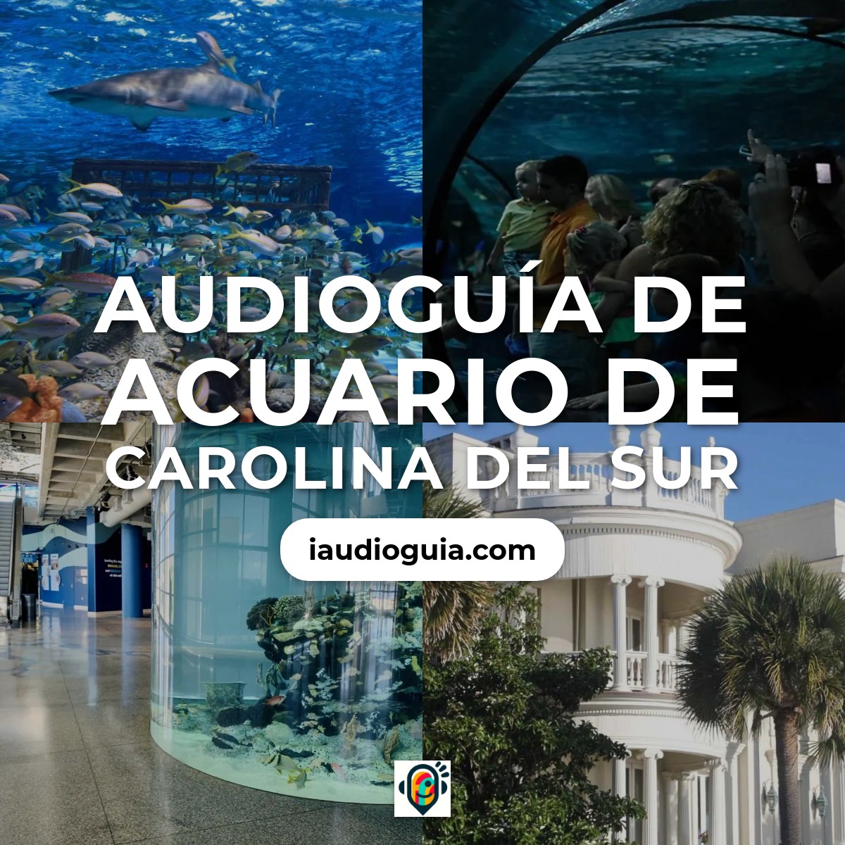 Audioguía de South Carolina Aquarium