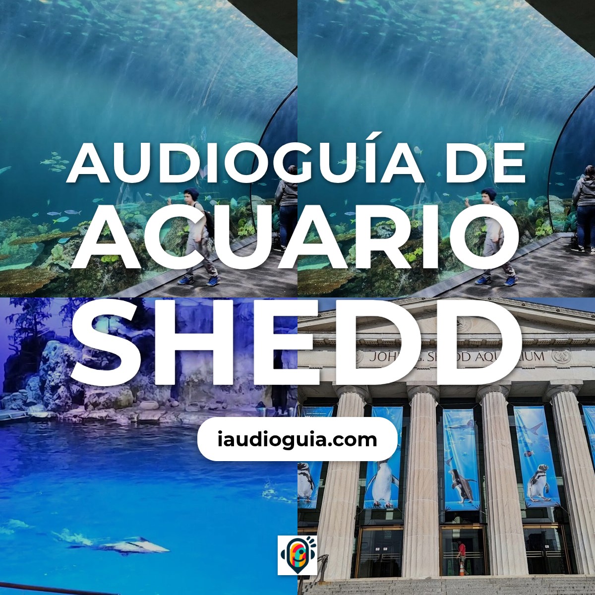 Audioguía de Shedd Aquarium