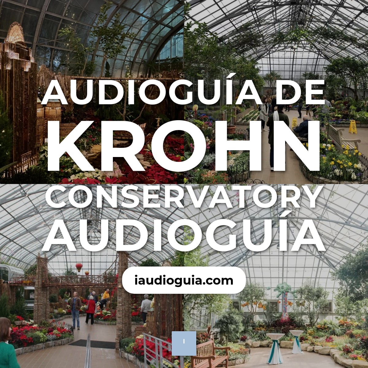Audioguía de Krohn Conservatory