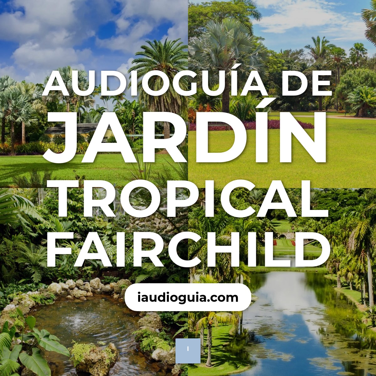 Audioguía de Fairchild Tropical Botanic Garden