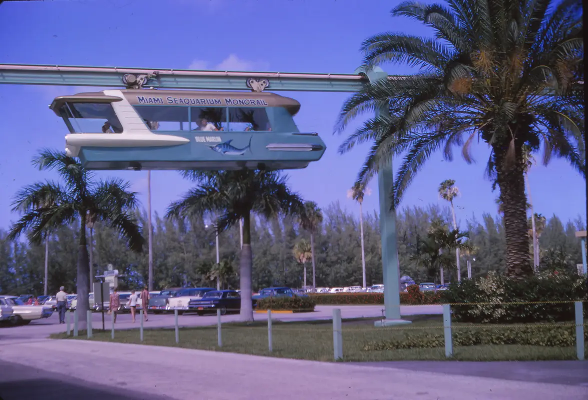 Audioguía de Miami Seaquarium