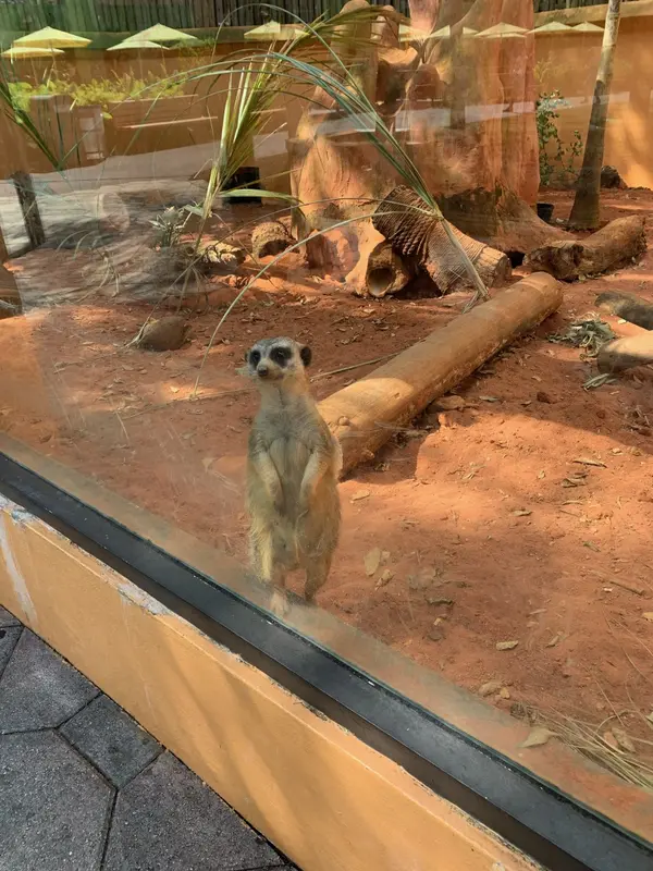 Audioguía de Zoologico Miami