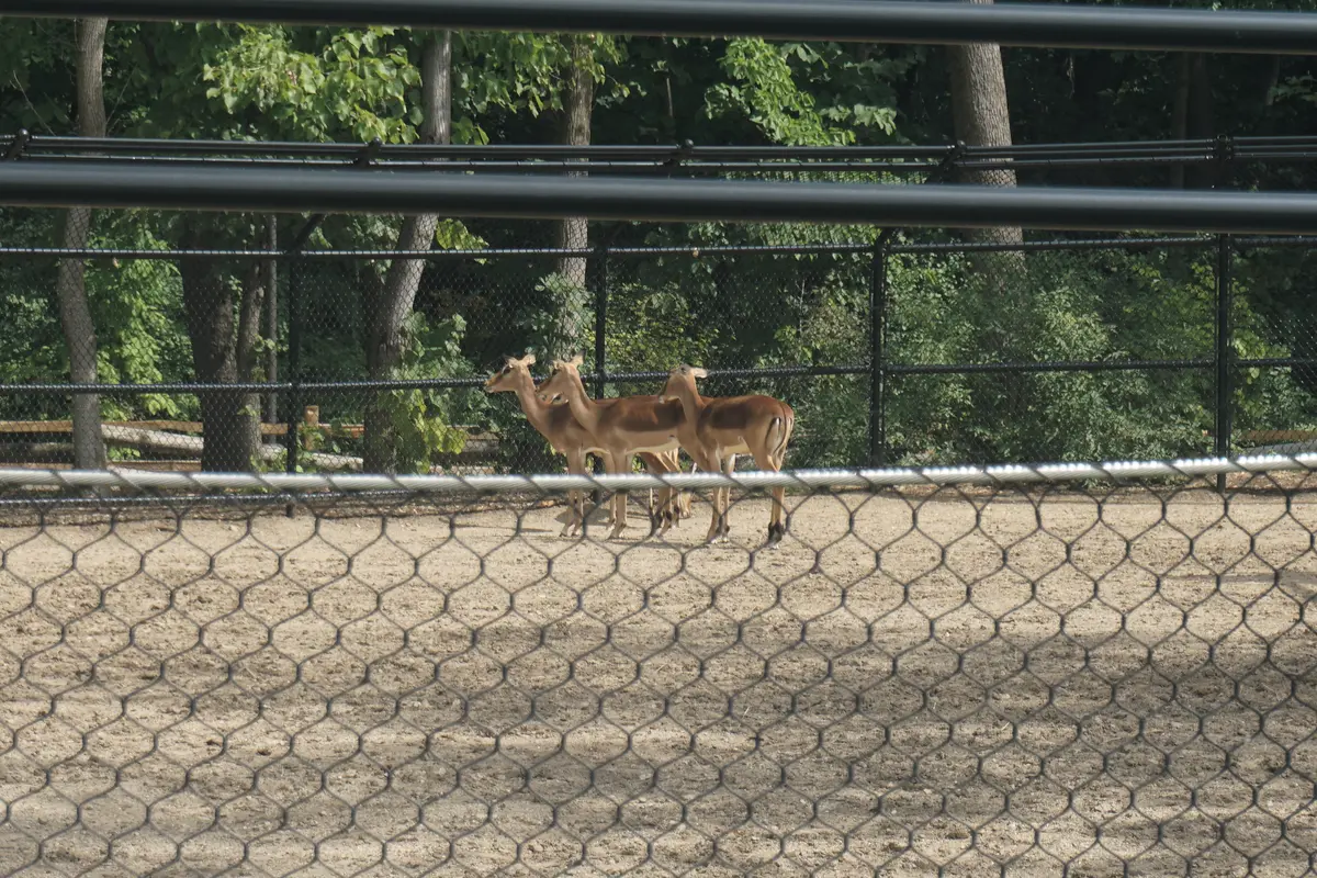 Audioguía de Milwaukee County Zoo
