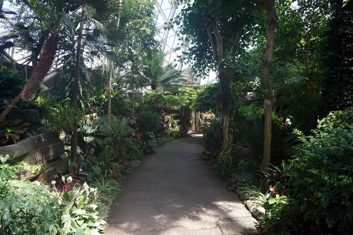 Audioguía de Mitchell Park Domes Horticulture Conservatory