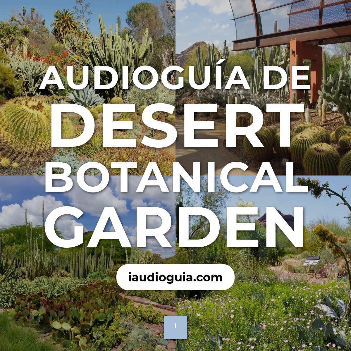 Audioguía de Desert Botanical Garden