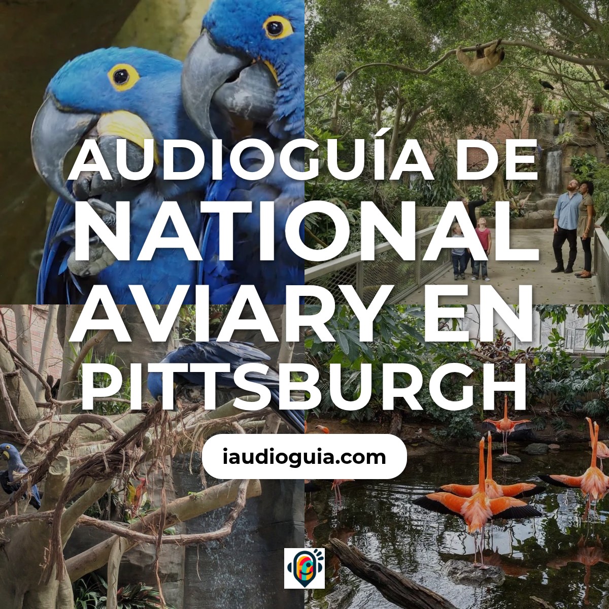 Audioguía de National Aviary