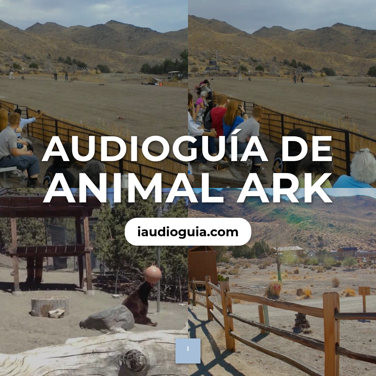 Audioguía de Animal Ark