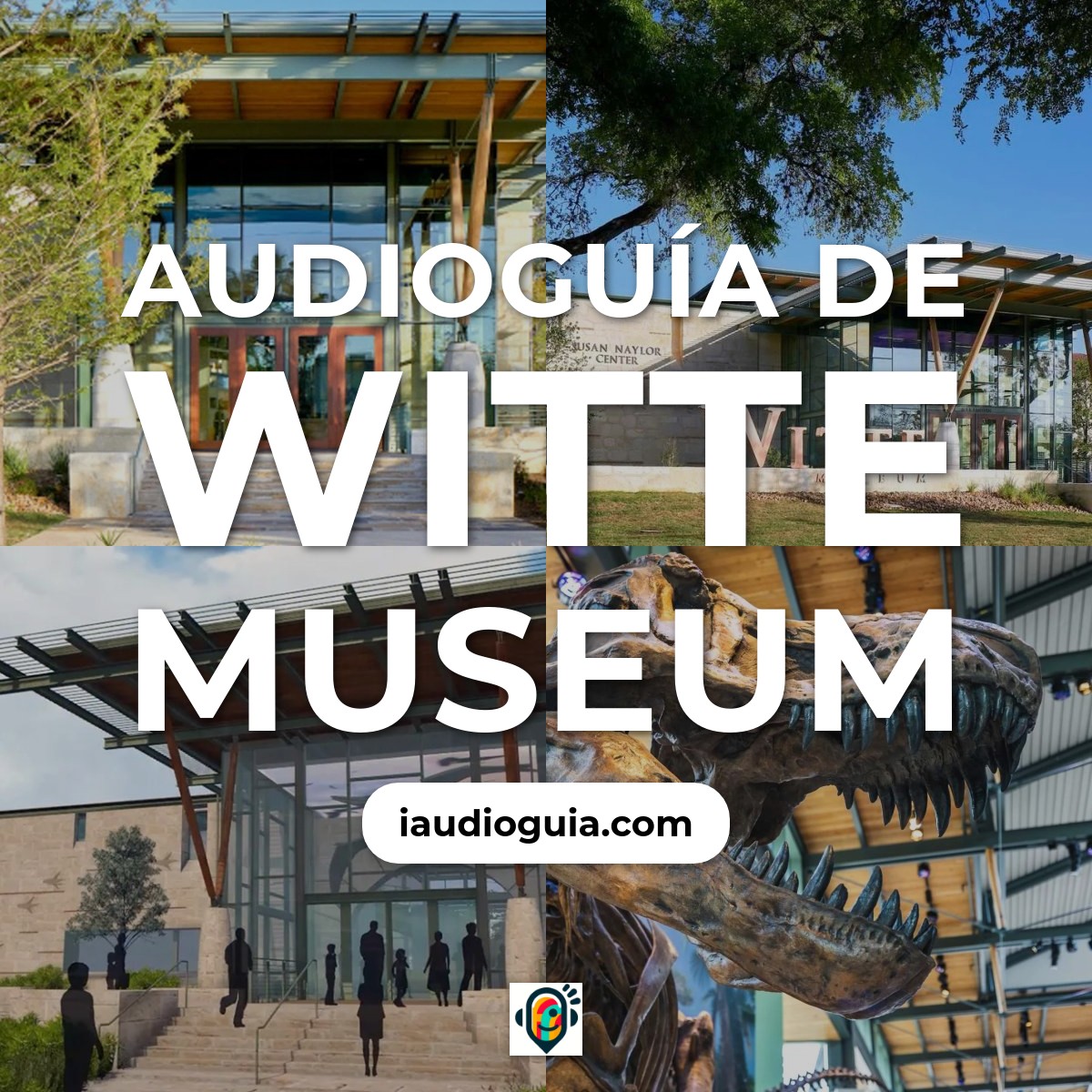 Audioguía de Witte Museum