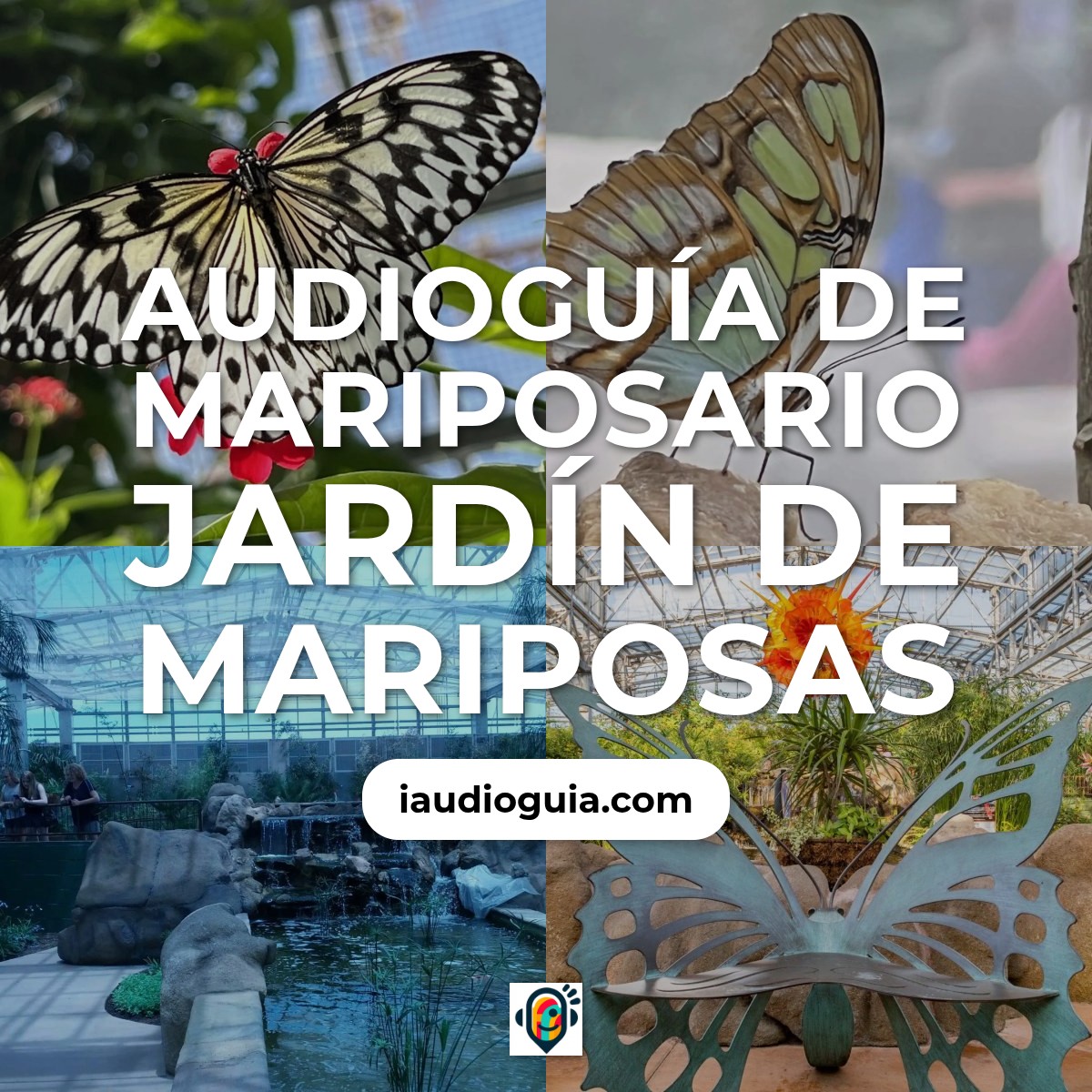 Audioguía de Butterfly Wonderland