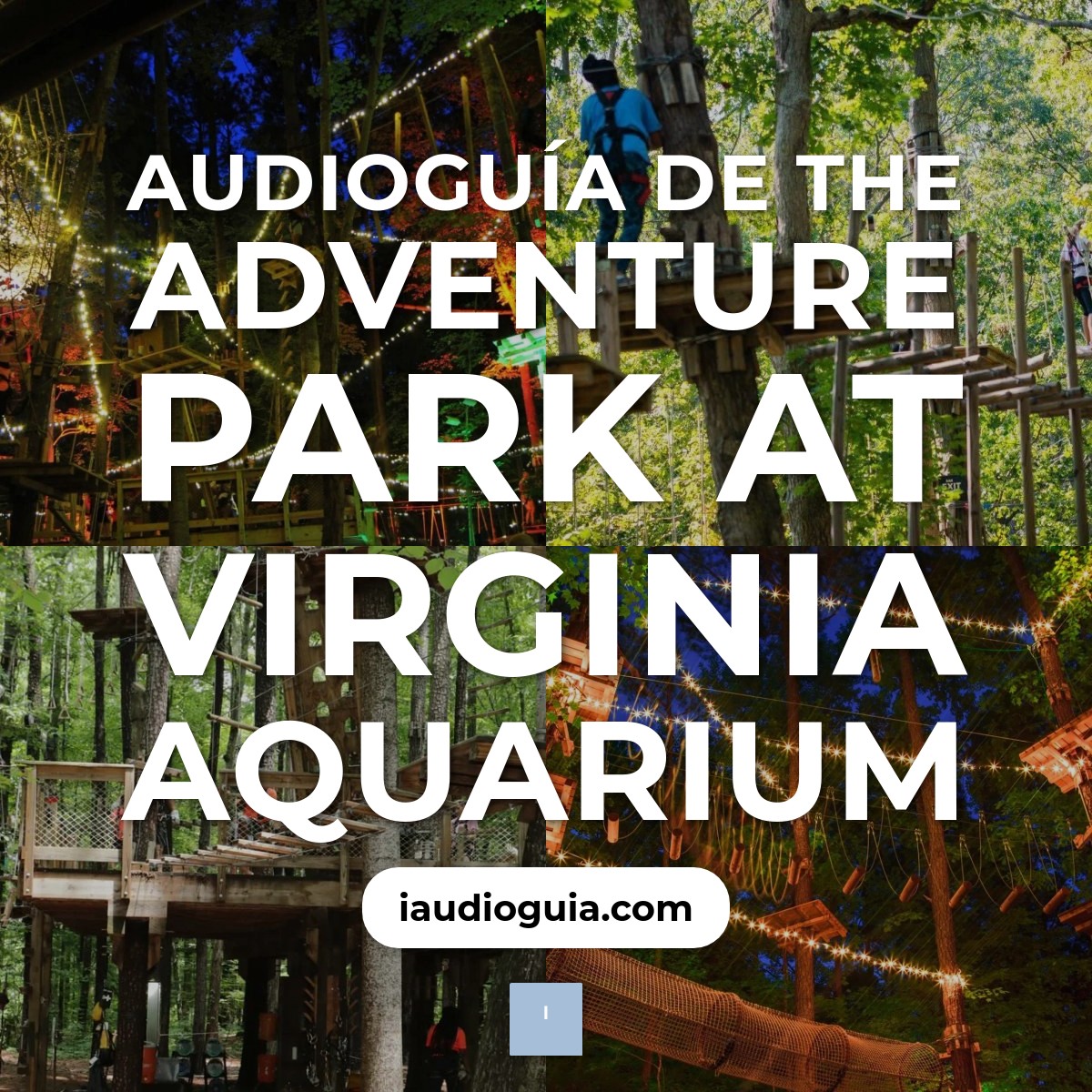 Audioguía de The Adventure Park At Virginia Aquarium