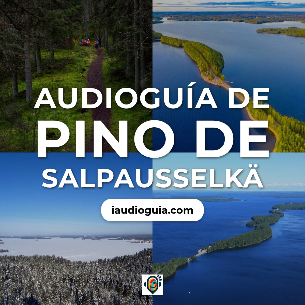Audioguía de Pino Salpausselka