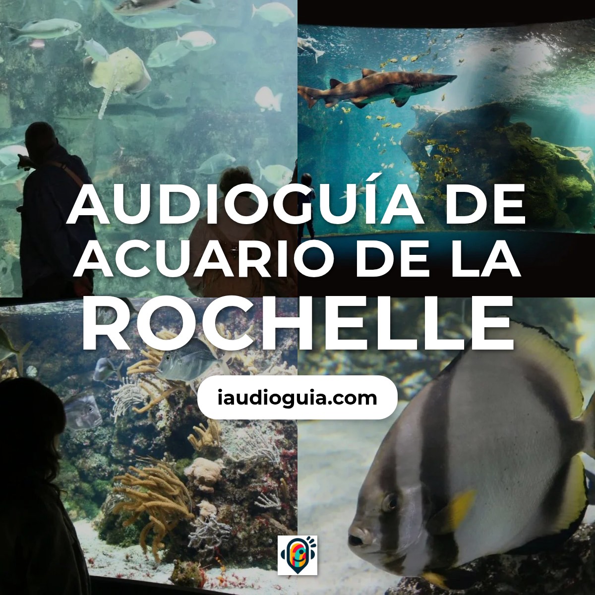 Audioguía de Acuario Rochelle