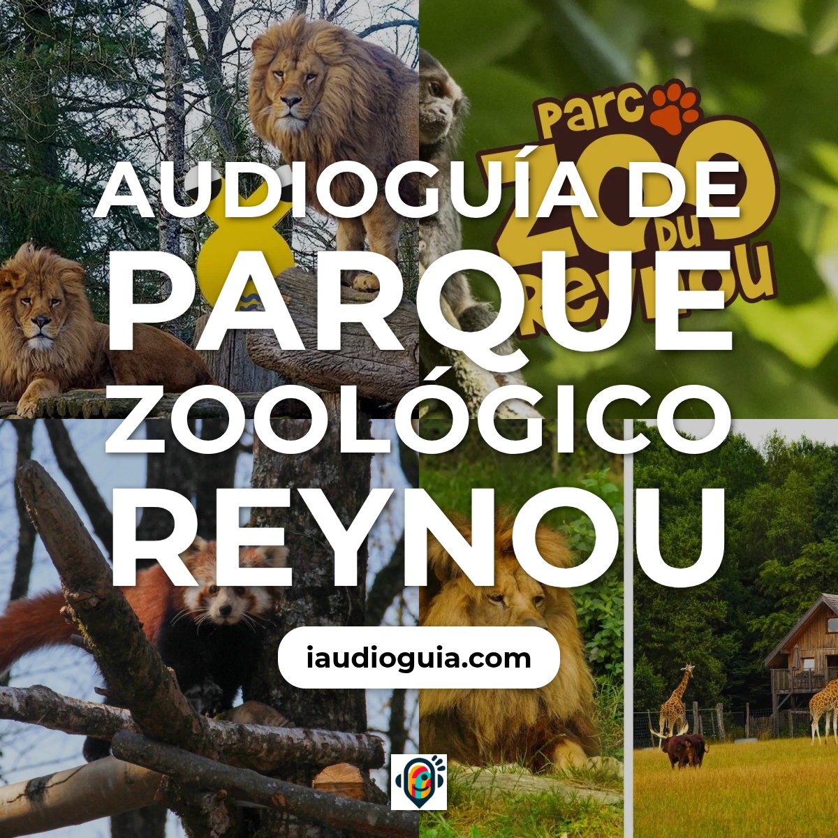 Audioguía de Parque Zoologico Reynou
