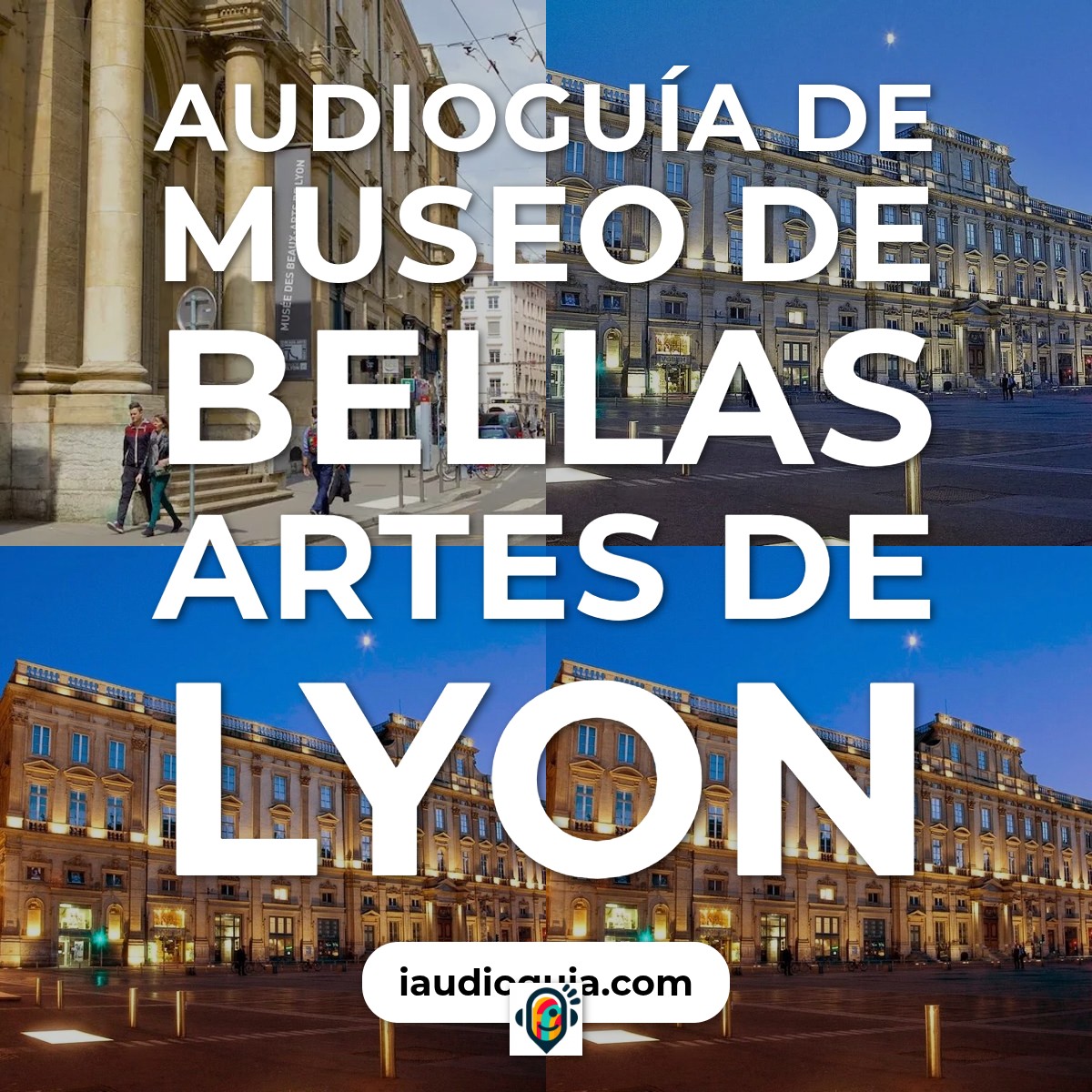 Audioguía de Museo Bellas Artes Lyon